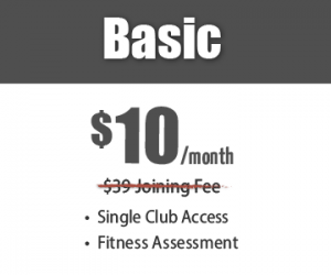 Basic Gym Membership